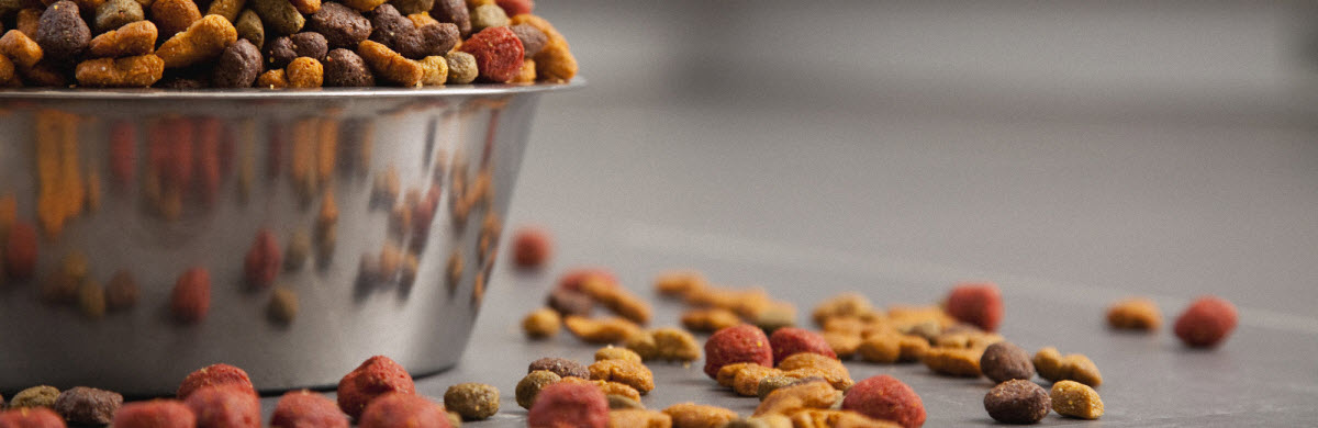 HRANA ZA KUCNE LJUBIMCE PODGORICA CRNA GORA