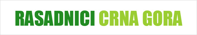 RASADNICI PODGORICA CRNA GORA