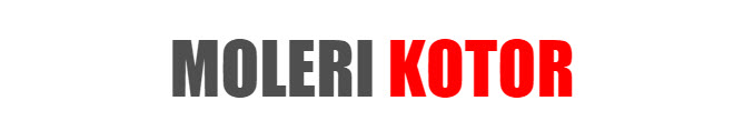 MOLERI KOTOR - MOLERSKI RADOVI U KOTORU